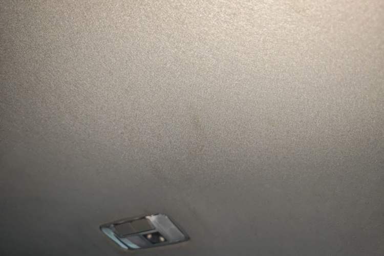 Used Toyota Prado 2018 3.5L Automatic TX-L with Rear-Mounted Spare Tire Headliner