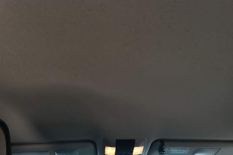 Used Toyota Prado  Headliner