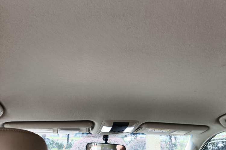 Used Toyota Prado 2018 4.0L TX-L U.S. Specification Headliner