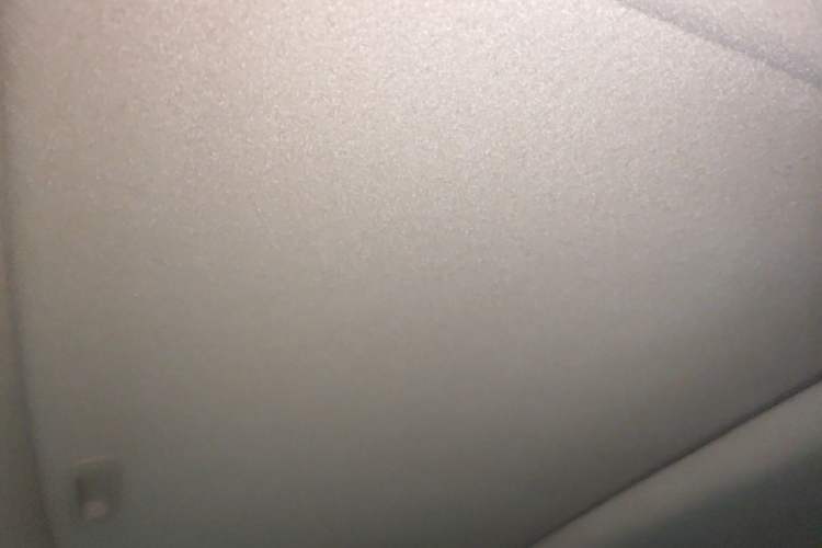 Used Toyota Prado 2018 3.5L Automatic TX-L Headliner