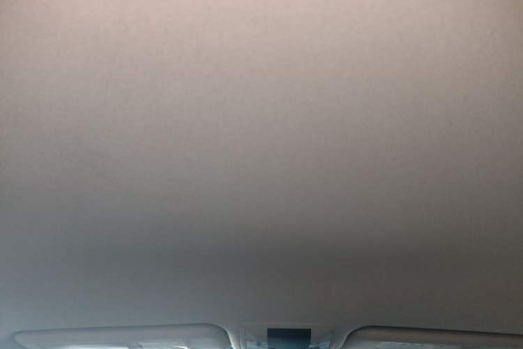 Used Toyota Prado  Headliner