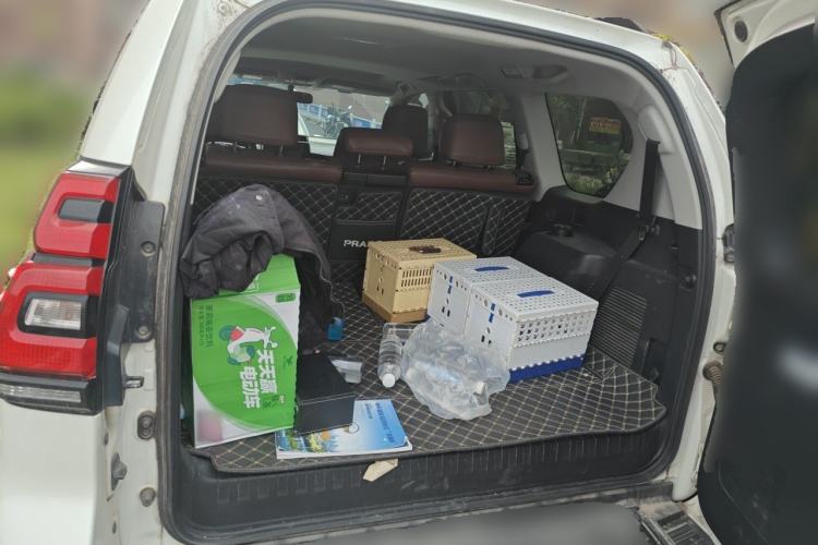 Used Toyota Prado  Trunk