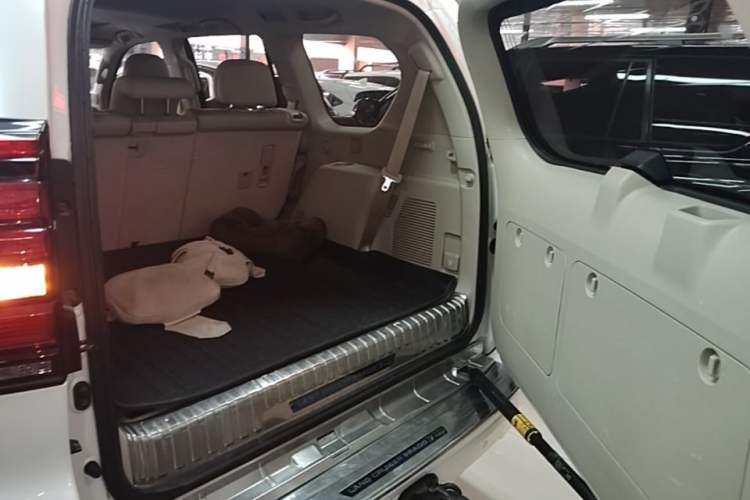 Used Toyota Prado 2018 3.5L Automatic TX-L Trunk