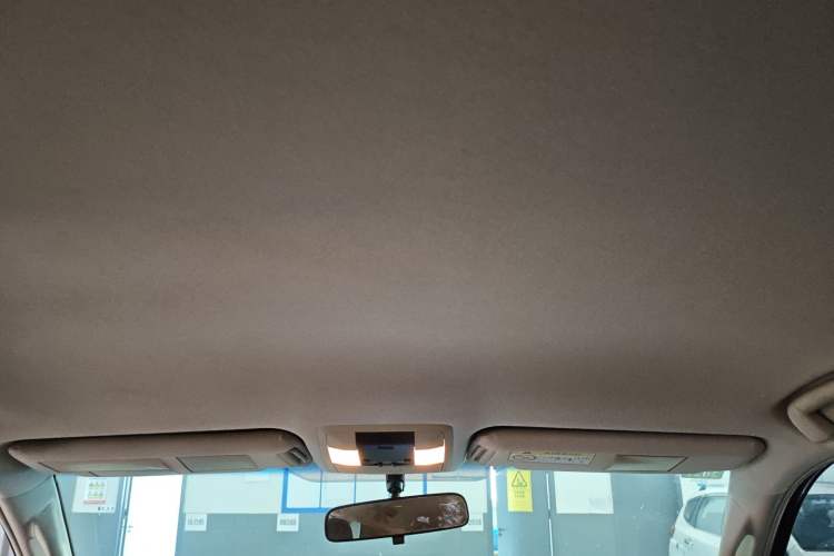 Used Toyota Prado 2019 4.0L TX-L Middle East Headliner