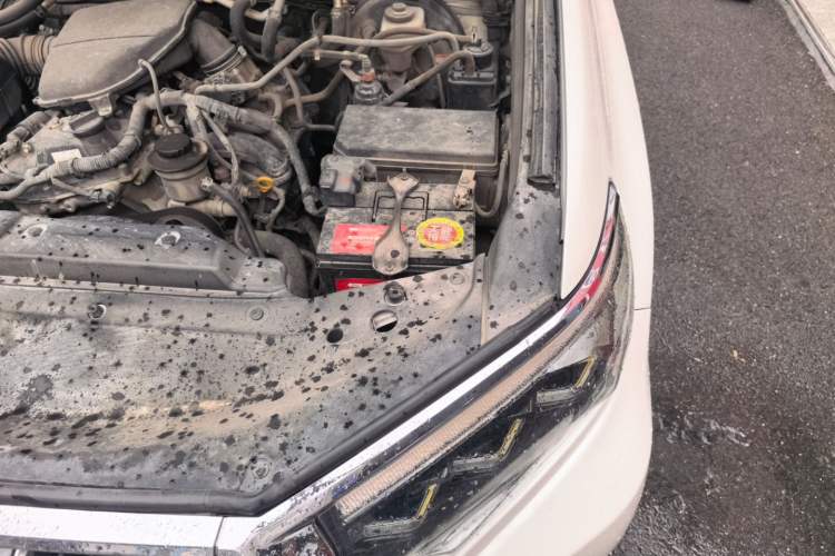Used Toyota Prado  Engine Bay Left