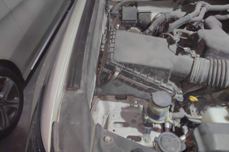 Used Toyota Prado 2019 3.5L Automatic TX-L Deluxe Edition with Rear-Mounted Spare Tire Engine Bay Right