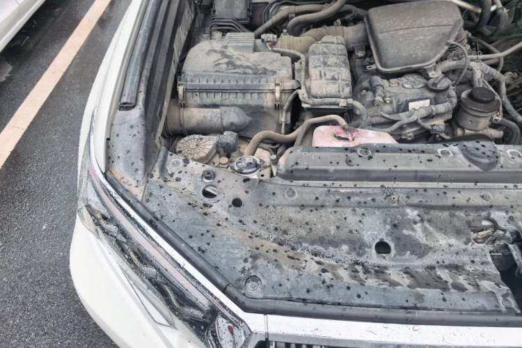 Used Toyota Prado  Engine Bay Right