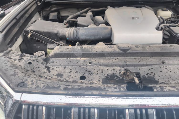 Used Toyota Prado 2019 3.5L Automatic TX-L Deluxe Edition with Rear-Mounted Spare Tire Engine Bay Right
