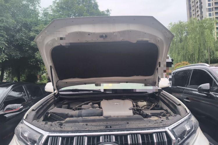 Used Toyota Prado 2019 3.5L Automatic TX-L Deluxe Edition with Rear-Mounted Spare Tire Engine Bay