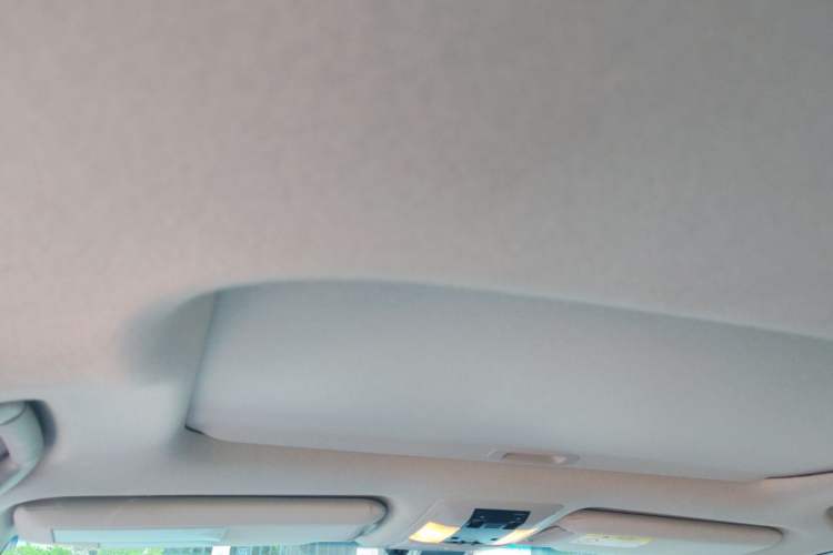 Used Toyota Prado 2019 3.5L Automatic TX-L Deluxe Edition Headliner