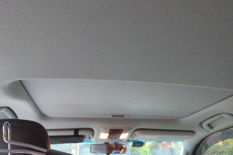 Used Toyota Prado 2019 3.5L Automatic TX-L Deluxe Edition Headliner
