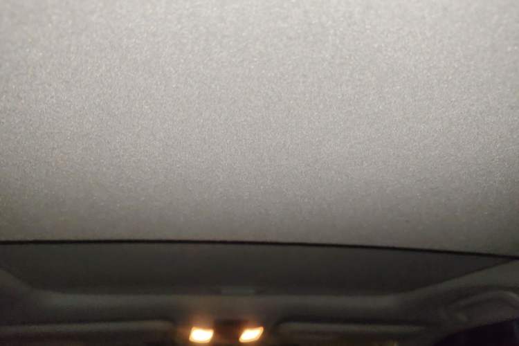 Used Toyota Prado 2019 3.5L Automatic TX-L Deluxe Edition Headliner