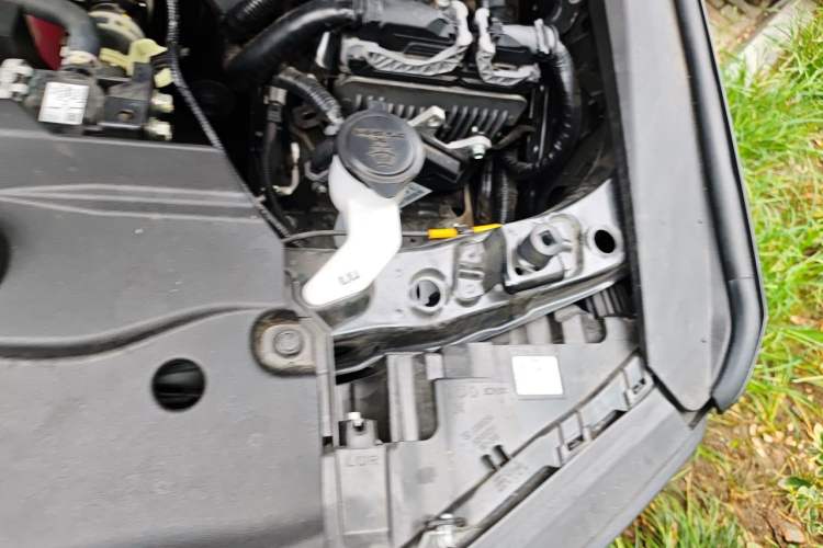 Used Toyota Prado 2024 2.4T Wilderness WX Edition 6 Seats Engine Bay Left