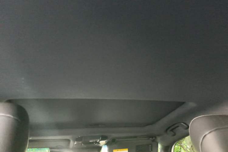 Used Toyota Prado 2024 2.4T Wilderness WX Edition 6 Seats Headliner
