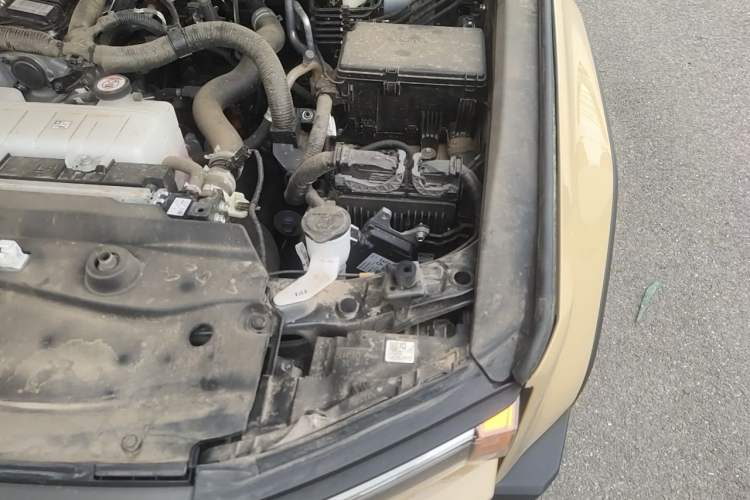Used Toyota Prado 2024 2.4T Wilderness WX Edition 6 Seats Engine Bay Left
