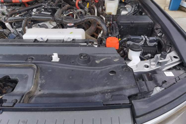 Used Toyota Prado 2024 2.4T Wilderness WX Edition 6 Seats Engine Bay Left