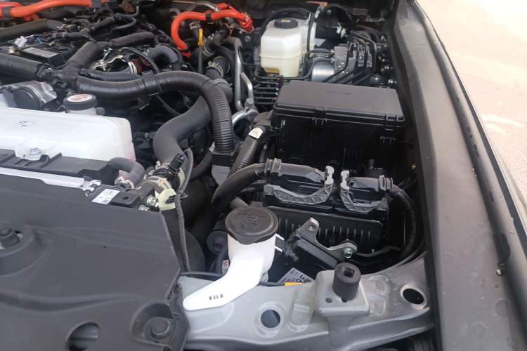 Used Toyota Prado 2024 2.4T Wilderness WX Edition 6 Seats Engine Bay Left