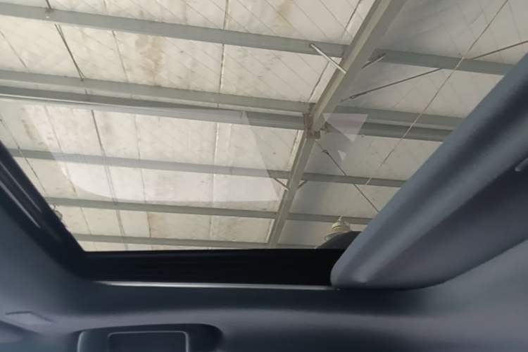 Used Toyota Prado 2024 2.4T Wilderness WX Edition 6 Seats Headliner
