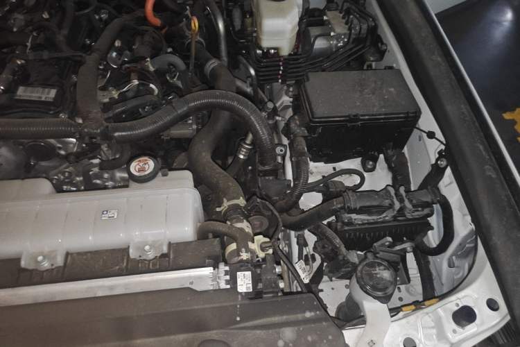 Used Toyota Prado 2024 2.4T Wilderness WX Edition 6 Seats Engine Bay Left