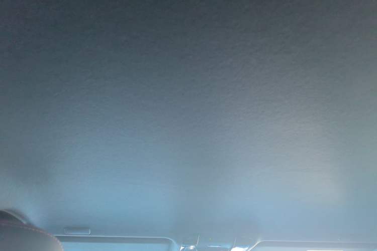 Used Toyota Prado 2024 2.4T Cross-Border BX Edition 5 Seats Headliner