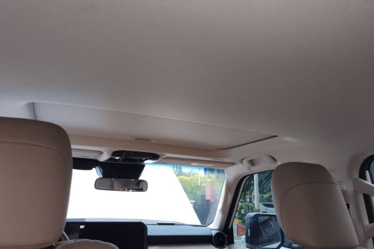Used Toyota Prado 2024 2.4T All-Terrain TX Version 5 Seats Headliner