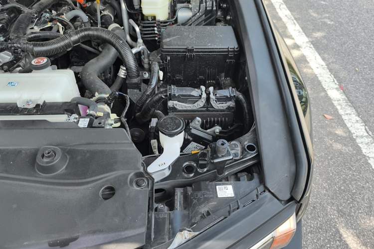 Used Toyota Prado 2025 2.4T Wilderness WX Edition 5 Seats Engine Bay Left