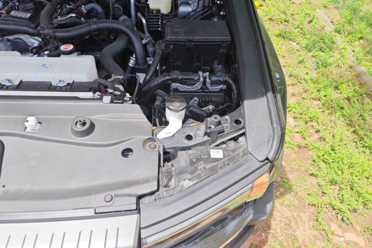 Used Toyota Prado 2025 2.4T Wilderness WX Edition 6 Seats Engine Bay Left