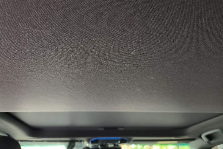 Used Toyota Prado 2025 2.4T Wilderness WX Edition 5 Seats Headliner