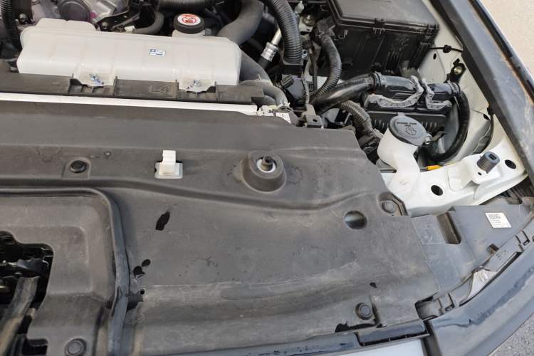 Used Toyota Prado 2025 2.4T All-Weather TX Version 5 Seats Engine Bay Left