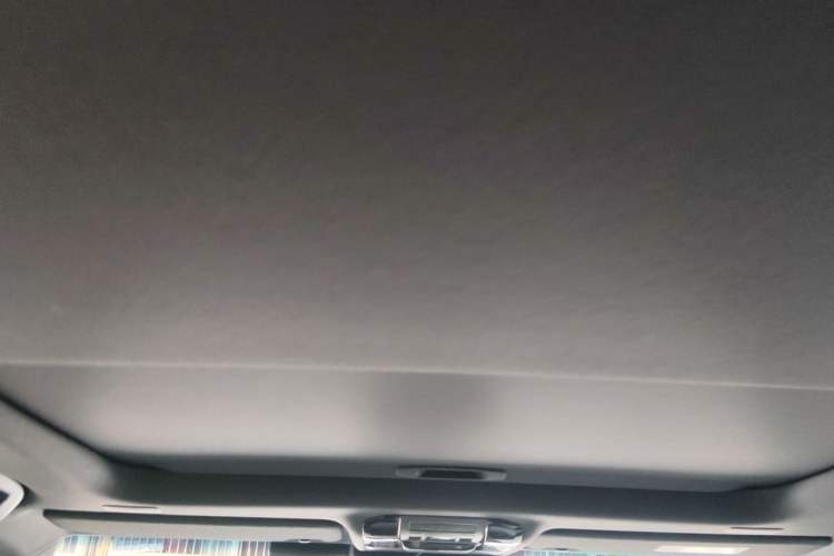 Used Toyota Prado 2025 2.4T Wilderness WX Edition 5 Seats Headliner