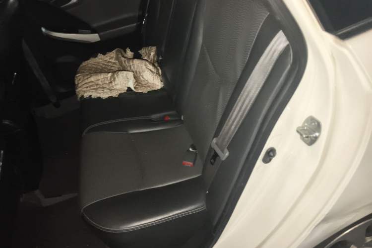 Used Toyota Prius 2012 1.8L Luxury Advanced Edition Left Rear Seat