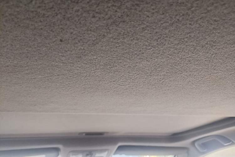 Used Toyota RAV4 2009 2.0L Automatic Luxury Edition Headliner