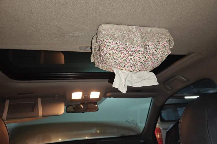 Used Toyota RAV4 2009 2.4L Automatic Luxury Edition Headliner