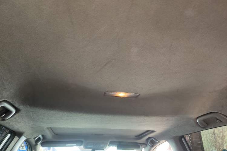 Used Toyota RAV4 2009 2.4L Manual Luxury Edition Headliner