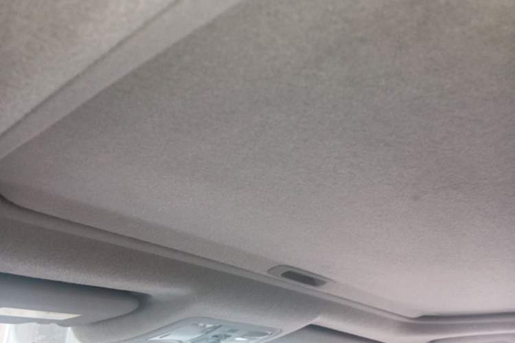Used Toyota RAV4 2009 2.0L Manual Luxury Edition Headliner