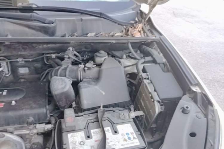 Used Toyota RAV4 2009 2.4L Automatic Luxury Edition Engine Bay Left