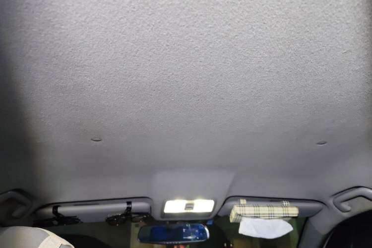 Used Toyota RAV4 2009 2.0L Automatic Classic Edition Headliner
