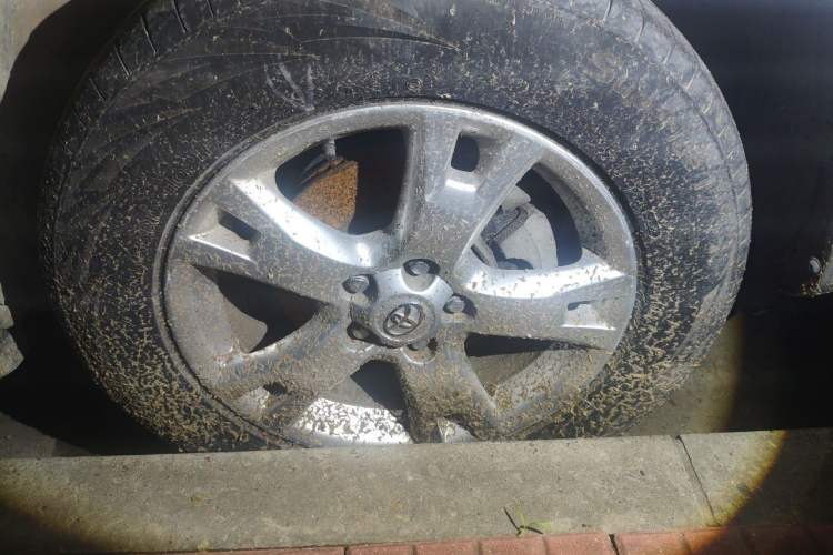 Used Toyota RAV4 2010 2.4L Automatic Deluxe Upgrade Edition Right Front Wheel Hub