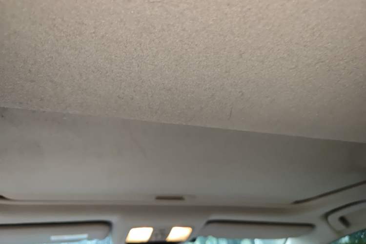 Used Toyota RAV4 2011 2.0L Automatic 4x4 Edition Headliner