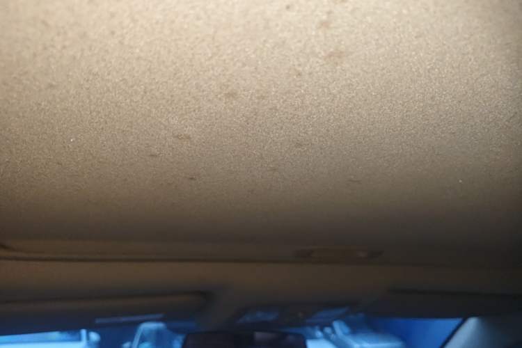 Used Toyota RAV4 2011 2.0L Automatic 4x4 Edition Headliner