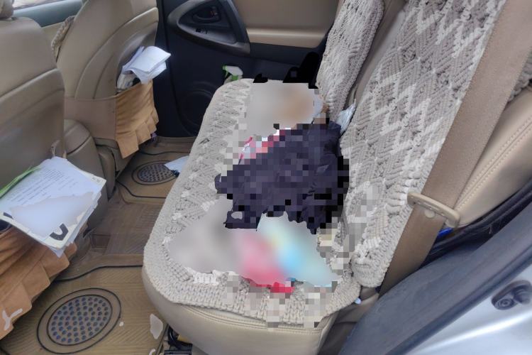 Used Toyota RAV4 2011 2.0L Automatic 4x4 Edition Left Rear Seat