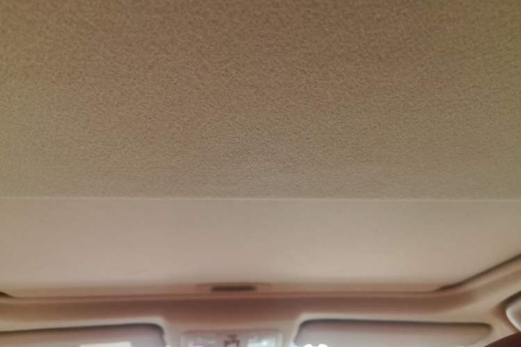 Used Toyota RAV4 2011 2.0L Automatic 4x4 Edition Headliner