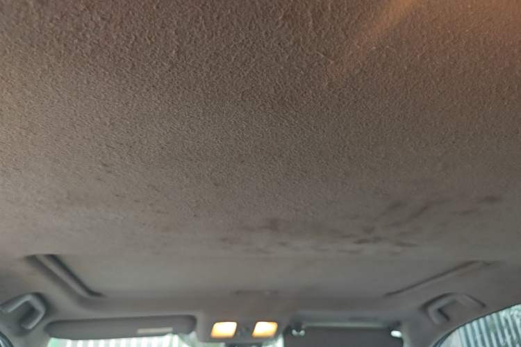 Used Toyota RAV4 2011 2.4L Automatic 4x4 Luxury Edition Headliner
