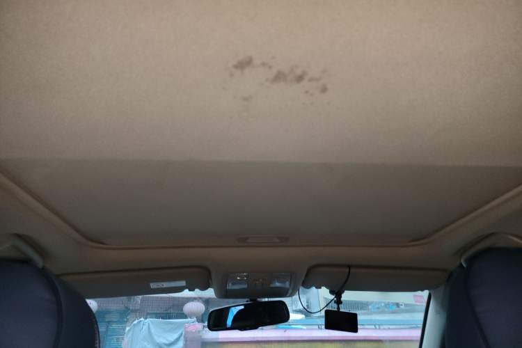 Used Toyota RAV4 2011 2.4L Automatic 4x4 Luxury Edition Headliner