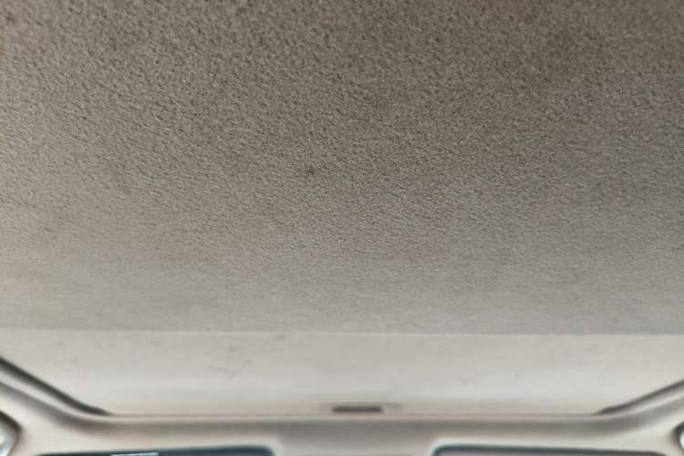 Used Toyota RAV4 2012 Luxurious Edition 2.0L Automatic All-Wheel Drive Headliner