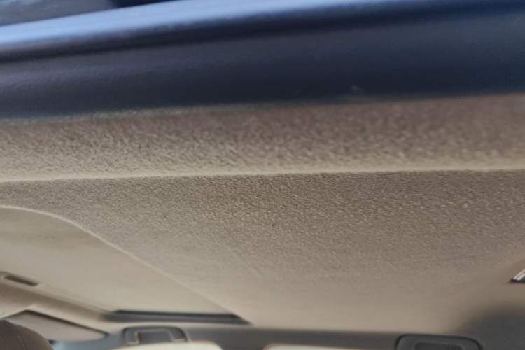 Used Toyota RAV4 2013 Special Edition 2.0L Manual Classic Headliner