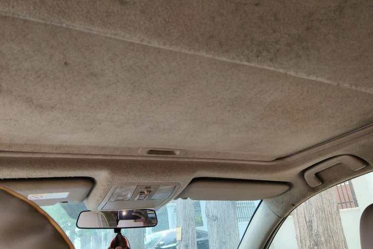 Used Toyota RAV4 2013 Special Edition 2.0L Automatic Elite Headliner