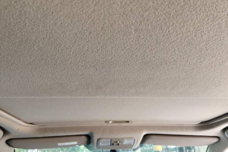 Used Toyota RAV4 2013 Special Edition 2.0L Automatic Elite Headliner