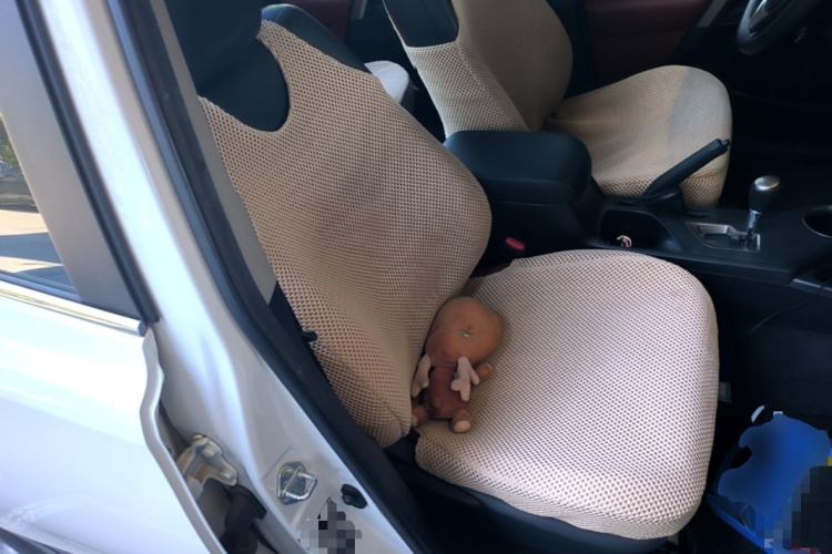 Used Toyota RAV4 2013 2.5L Automatic 4x4 Elite Edition Right Front Seat