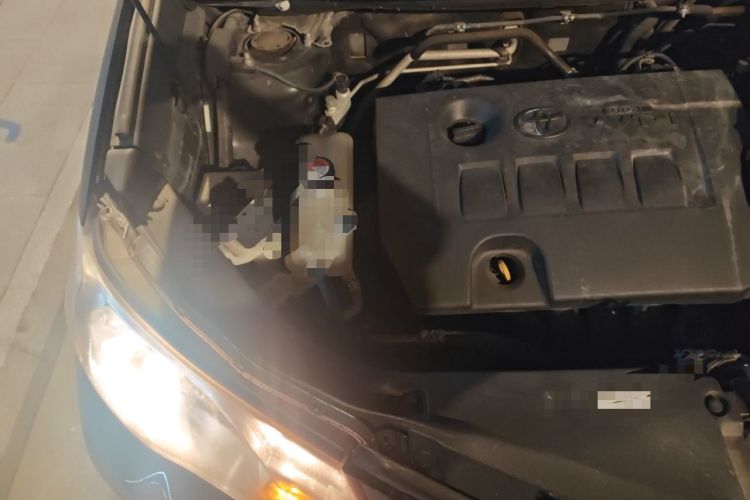 Used Toyota RAV4 2015 2.0L CVT Two-Wheel Drive Fashion Edition Engine Bay Right